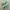 New Balance Casual Sneakers Pria green photo 1