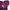 Nerdy Luxury Grunge Hoody Pria purple photo 3