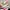 New Balance Casual Sneakers Pria multicolor photo 2