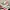 New Balance Casual Sneakers Pria Multicolor