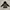 BabyGap Outerwear Kids Gray