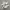 Nike Sportswear Sneakers Pria multicolor photo 1
