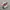 Adidas Casual Sneakers Wanita multicolor photo 1