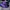 Sportswear Pria purple photo 1