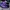Sportswear Pria Purple