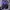 Sportswear Pria purple photo 2