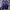Sportswear Pria Purple