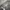 Casual Sweater Wanita white gray photo 1