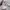 Charles and Keith Casual Handbag Wanita cream photo 4