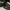 Dior Luxury Sportswear Sneakers Pria white black photo 7