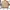 Carhartt Streetwear Denim Jacket Pria Brown