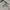 ZARA Streetwear Casual Denim jacket Pria white photo 4
