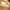 Tory Burch Minimalist Casual Shoulder bag Wanita orange photo 4