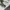 Adidas Casual Hoody Pria white photo 6