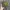 Japanese brand Vintage Biker Hat Pria green gray photo 2