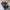Compass Casual Casual shoe Pria black photo 1