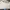 Louis Vuitton Luxury Casual Shoulder bag Wanita white gray photo 1