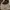 Casual Shoulder bag Wanita cream photo 3