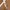 Japanese brand Y2K Avant Garde Belt Wanita white photo 2