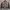 Towngent Streetwear Minimalist Varsity jacket Pria brown photo 2