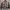 Towngent Streetwear Minimalist Varsity Jacket Pria Brown