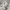 Y2K Casual Tracksuit Pria white photo 7