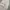 Y2K Casual Tracksuit Pria white photo 8