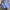 Coquette Casual Skirt Wanita blue photo 1