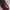 Dr. Martens Indie Boots Wanita burgundy photo 7