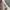 Valentino Casual T-shirt Pria white photo 4