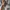 Nike Casual Sweatshirt Pria gray photo 4