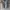 Nike Casual Sweatshirt Pria gray photo 1