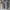 Nike Casual Sweatshirt Pria Gray