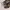 Coquette Minimalist Flat Wanita gray photo 1