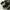 VANS Skater Casual Casual shoe Pria black photo 2
