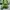 Casual Kids green photo 3