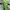 Casual Kids green photo 2