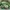 Casual Kids green photo 1