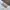 Oakley Streetwear Y2K Short Pria white photo 5