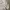 Nike Streetwear Hoody Pria white photo 4