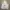 Nike Streetwear Hoody Pria white photo 3