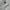Sportswear Casual Jersey Pria white photo 5
