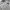 Sportswear Casual Jersey Pria white photo 3