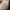 Casual Harrington jacket Pria cream photo 5