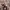 Massimo Dutti Casual Casual shirt Pria multicolor photo 4