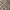 Massimo Dutti Casual Casual shirt Pria multicolor photo 2