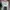 Converse Vintage Casual Sneakers Wanita green white photo 8