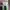 Converse Vintage Casual Sneakers Wanita green white photo 7