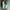 Converse Vintage Casual Sneakers Wanita green white photo 4