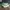 Converse Vintage Casual Sneakers Wanita green white photo 3